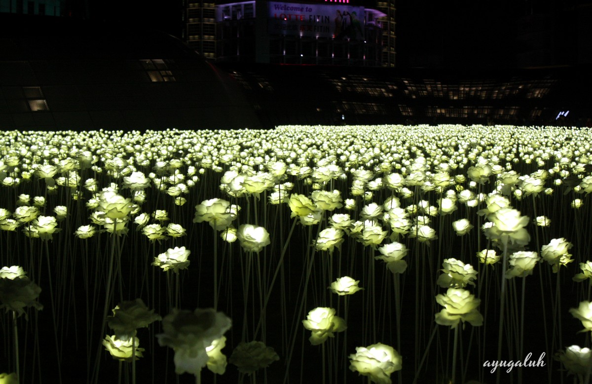 20 000 Cahaya di  Dongdaemun Design Plaza ayuavenue